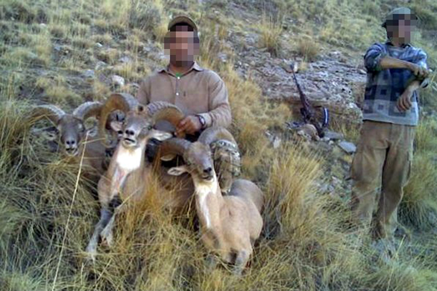 Poaching in iran