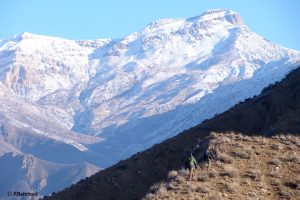 Mountain Sarigol