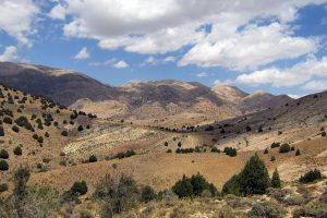 Salouk National Park