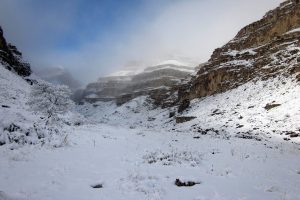 Tandoureh National Park