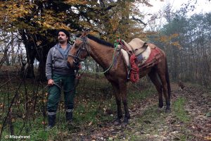 Peyman Moghadas Iranian Wildlife Conservationist